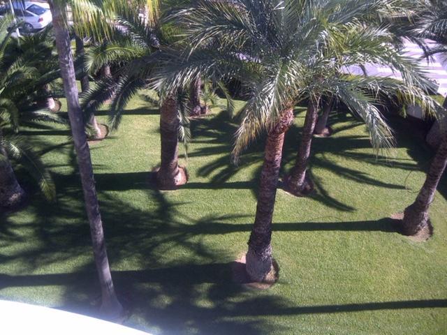 Apartment Martinez Casablanca Alcossebre Eksteriør bilde